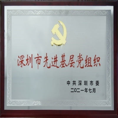 百年華誕，喜獲殊榮——國微電子黨總支榮獲“深圳市先進(jìn)基層黨組織”稱號